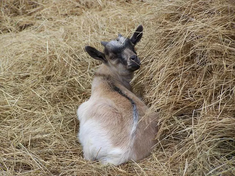 Jede Krise hat nicht nur ihre Gefahren, sondern auch ihre Möglichkeiten