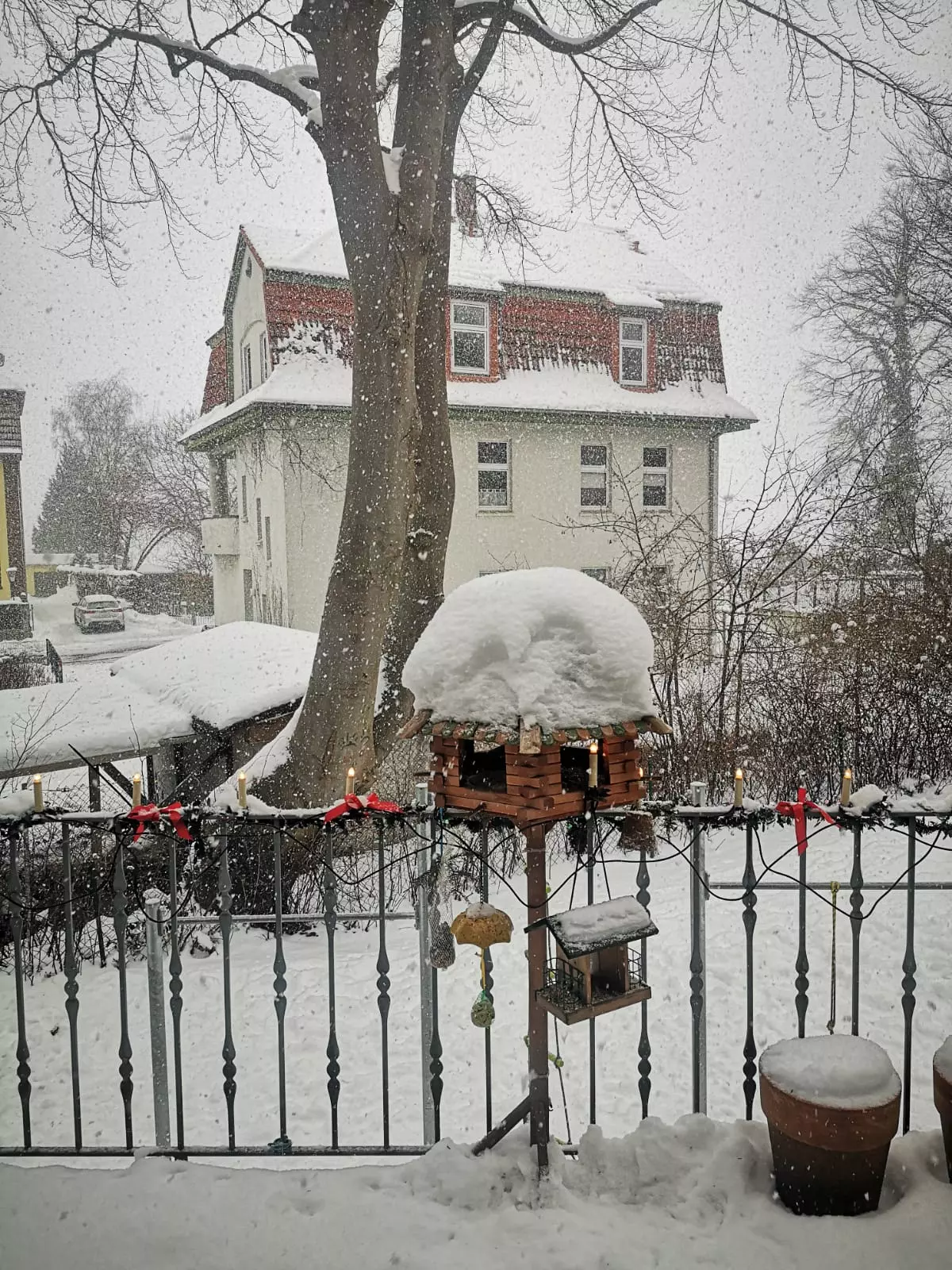 Vogelhaus im Winter