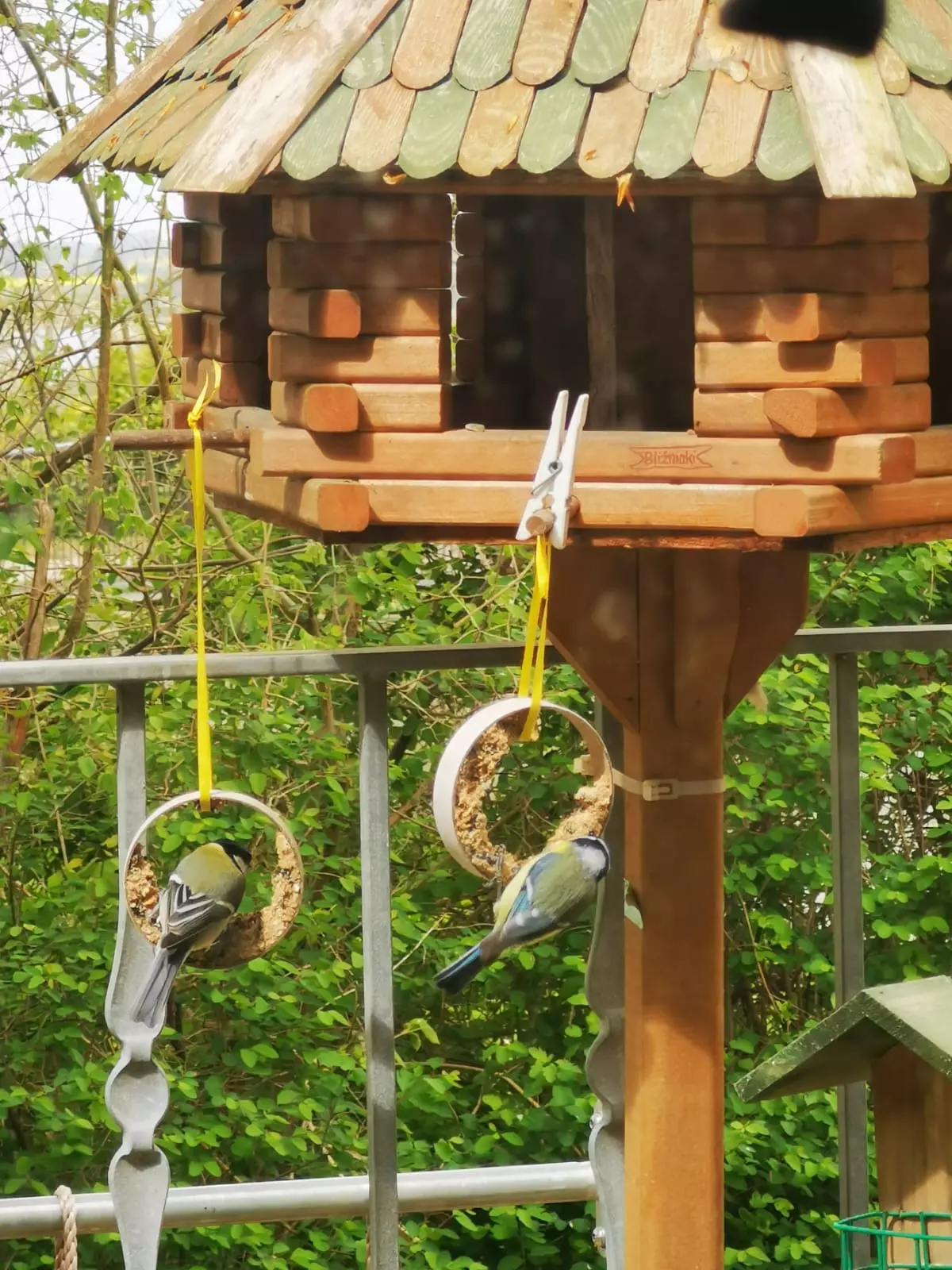 Vogelhaus im Herbst mit Meisen